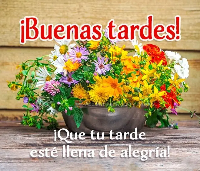 Que sua tarde esteja transbordando alegria! Boa Tarde!