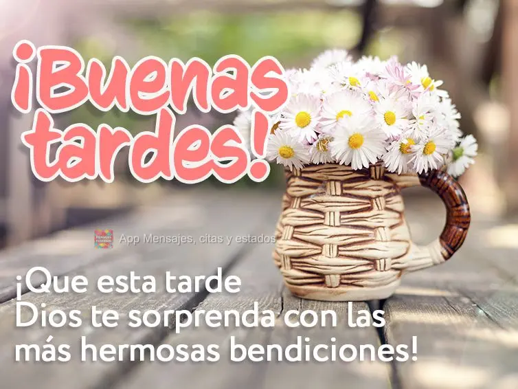 Que esta tarde Deus te surpreenda com as bênçãos mais lindas! Boa tarde!