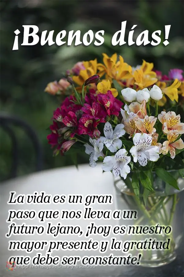 A vida é um passo largo que nos leva a um futuro distante, o hoje é nosso maior presente e a gratidão que deve ser constante! Bom dia!
