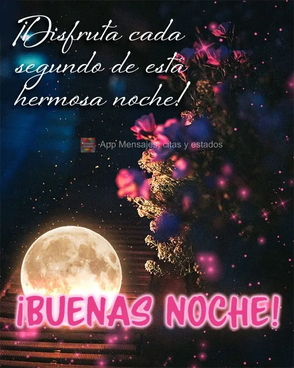 Aproveite cada segundo desta linda noite! Boa noite!