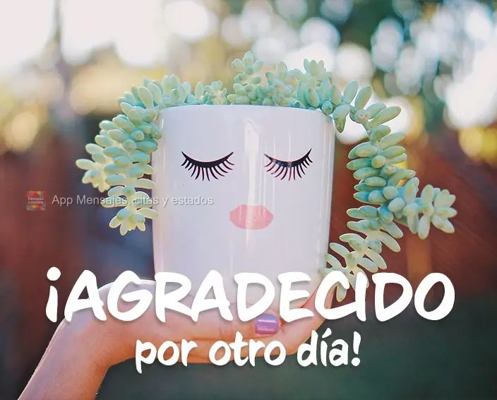 Grato por mais um dia!