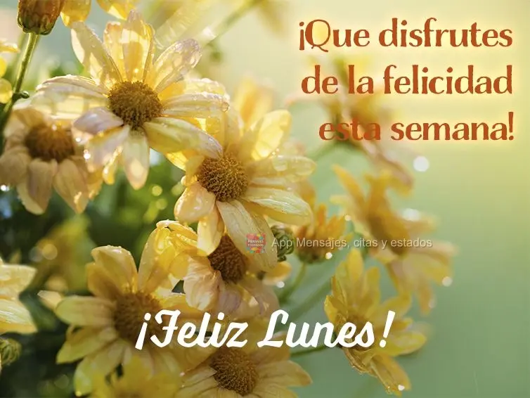¡Que disfrutes de la felicidad esta semana! ¡Feliz lunes!