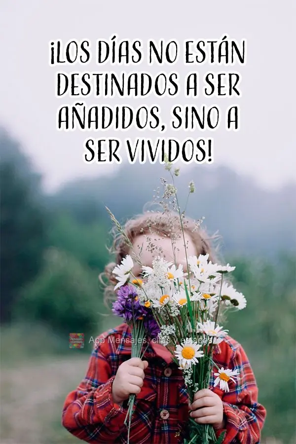 ¡Los días no están destinados a ser añadidos, sino a ser vividos!