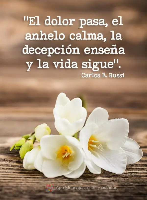 "El dolor pasa, el anhelo calma, la decepción enseña y la vida sigue". Carlos Eduardo Russi