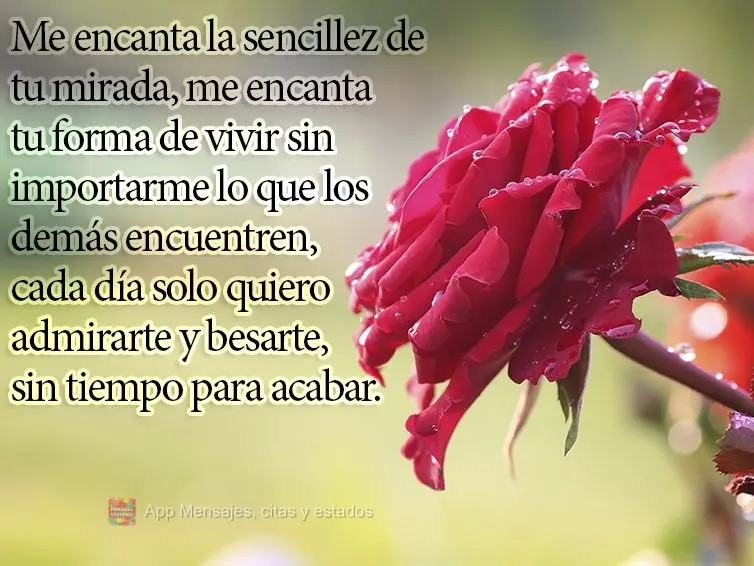 Me encanta la sencillez de tu mirada, me encanta tu forma de vivir sin importarme lo que los demás encuentren, cada día solo quiero admirarte y besarte...