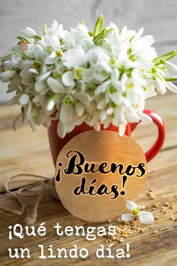 Tenha um ótimo dia! Bom dia!