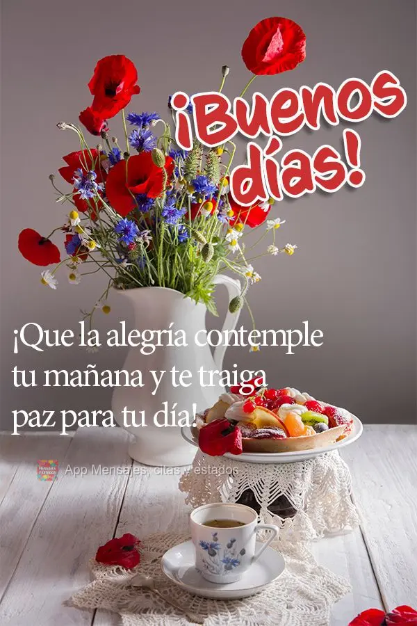 Que a alegria contemple a sua manhã e traga paz para o seu dia! Bom dia!