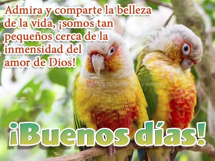 Admire e compartilhe a beleza da vida, somos tão pequenos perto da imensidão que é o amor de Deus! Bom dia!