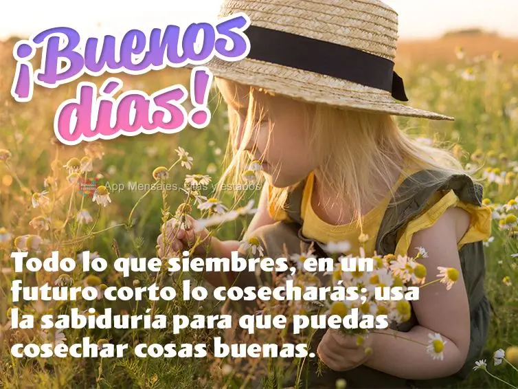 Tudo que você plantar, em um futuro breve você colherá; use a sabedoria para que possa colher coisas boas. Bom dia!