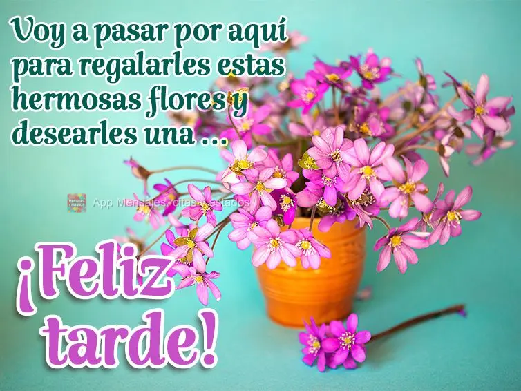 Estou passando aqui para lhe entregar essas lindas flores e desejar uma...  Feliz tarde!