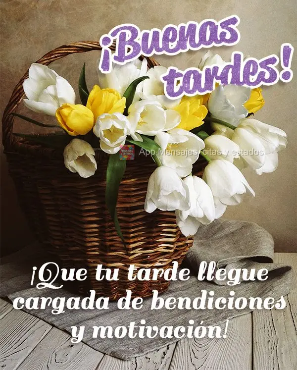 Que sua tarde venha carregada de bênçãos e motivação! Boa tarde!