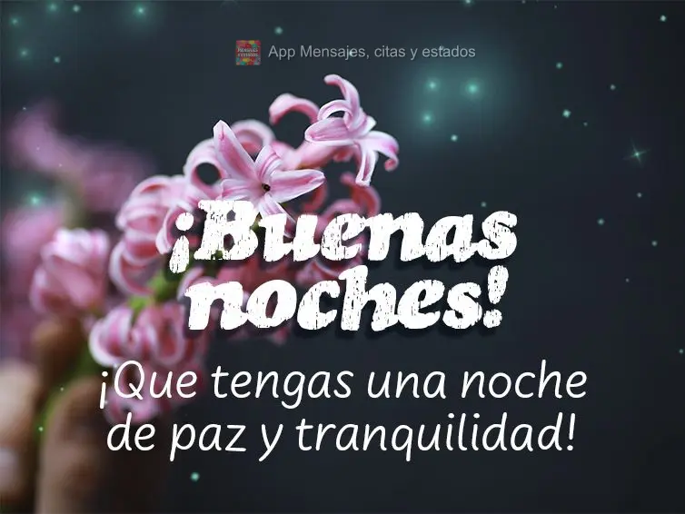 Tenha uma noite de paz e tranquilidade! Boa noite!