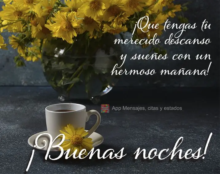 ¡Que tengas tu merecido descanso y sueñes con un hermoso mañana! ¡Buenas noches!