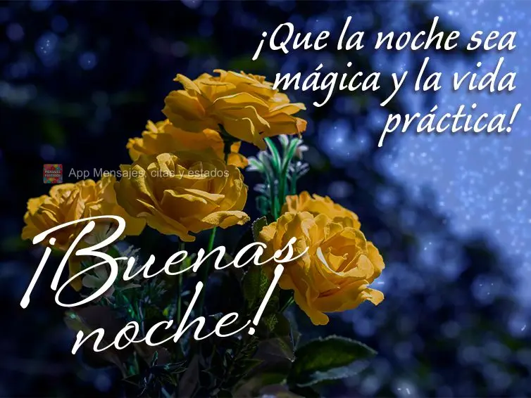 ¡Que la noche sea mágica y la vida práctica! ¡Buenas noche!