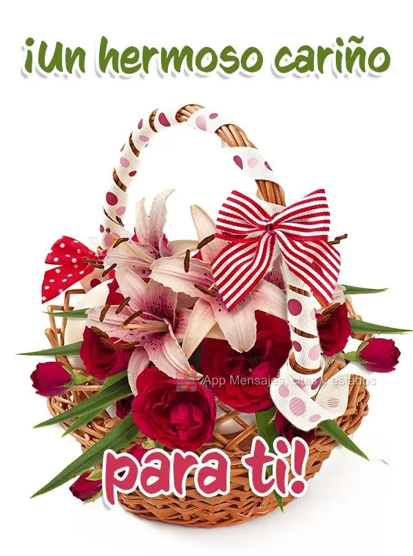 Um lindo carinho para você!