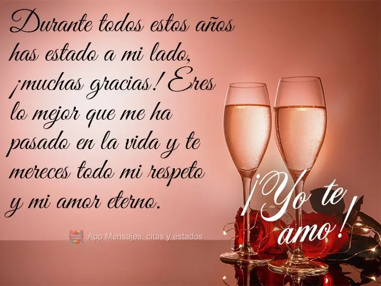 Durante todos estos años has estado a mi lado, ¡muchas gracias! Eres lo mejor que me ha pasado en la vida y te mereces todo mi respeto y mi amor eterno...