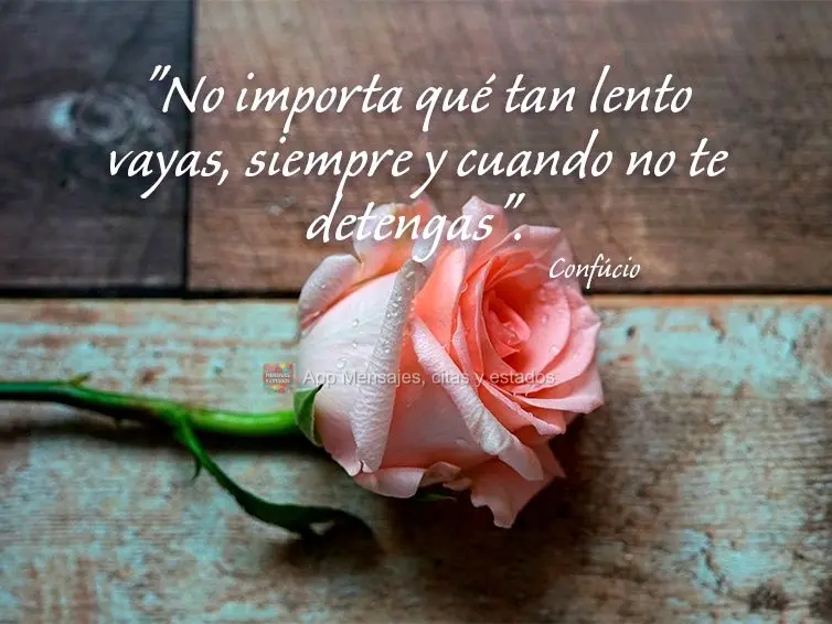 “Não importa o quão devagar você vá, desde que não pare.” Confúcio