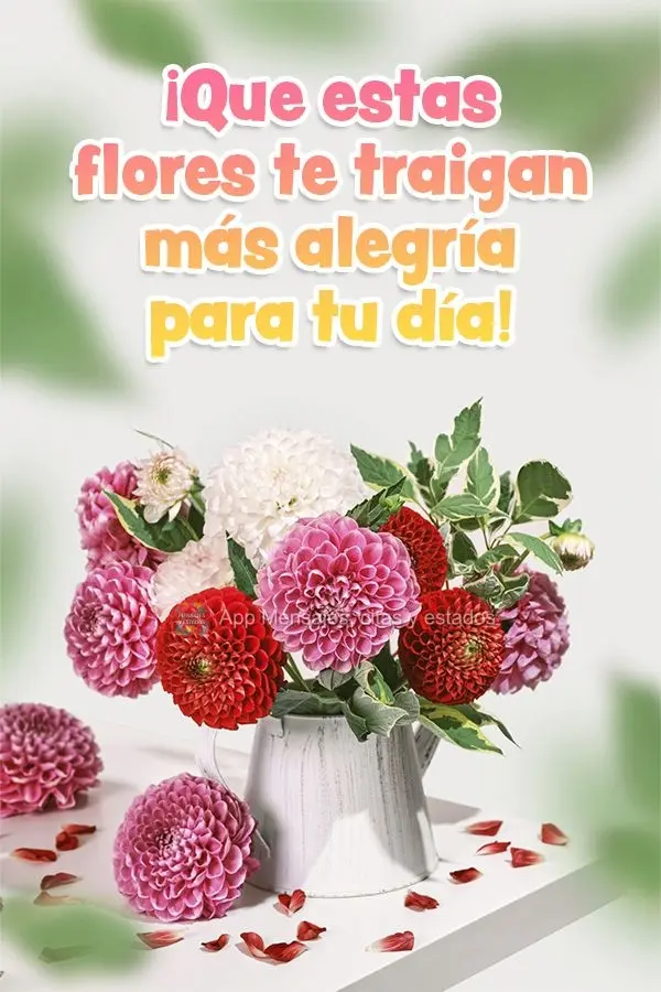 ¡Que estas flores te traigan más alegría para tu día!