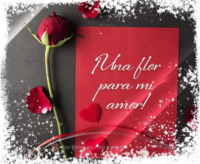 ¡Una flor para mi amor!