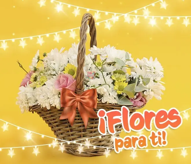 ¡Flores para ti!