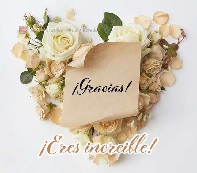 ¡Gracias! ¡Eres increible!