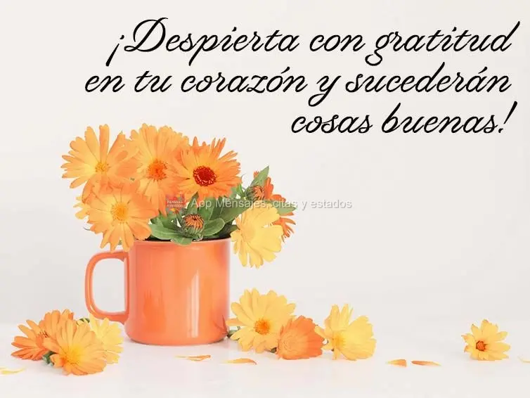 ¡Despierta con gratitud en tu corazón y sucederán cosas buenas!