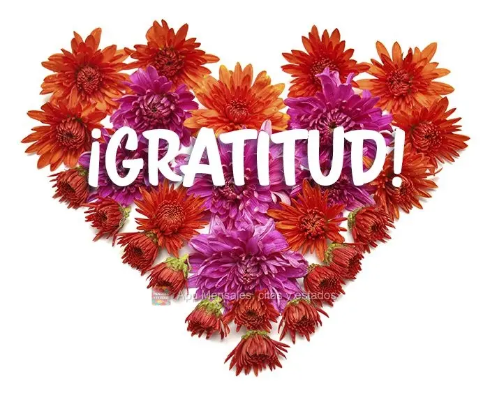 ¡Gratitud!