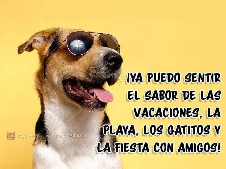 ¡Ya puedo sentir el sabor de las vacaciones, la playa, los gatitos y la fiesta con amigos!