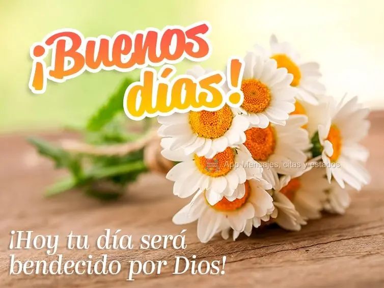 Hoje seu dia será abençoado por Deus! Bom dia!