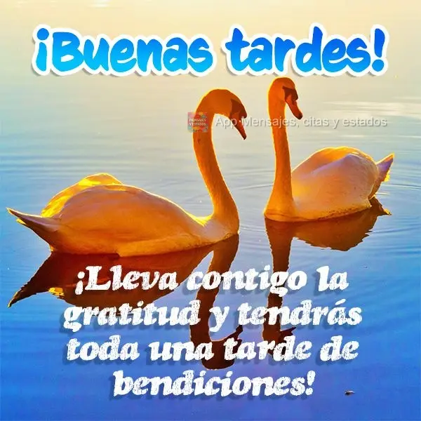 ¡Lleva contigo la gratitud y tendrás toda una tarde de bendiciones! ¡Buenas tardes!