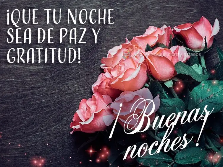 Que sua noite seja de paz e gratidão! Boa noite!