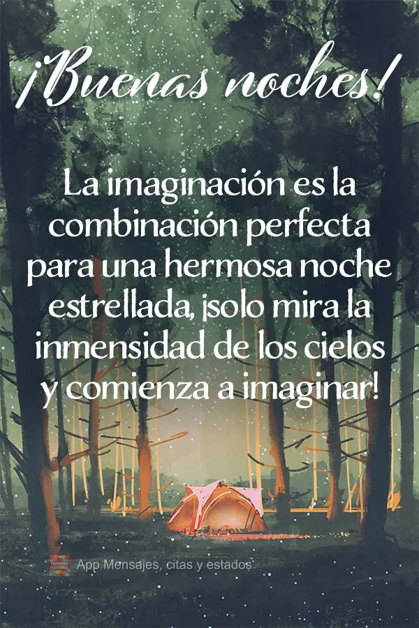 A imaginação é o par perfeito de uma linda noite estrelada, basta olhar para a vastidão dos céus e começar a imaginar! Boa noite! 