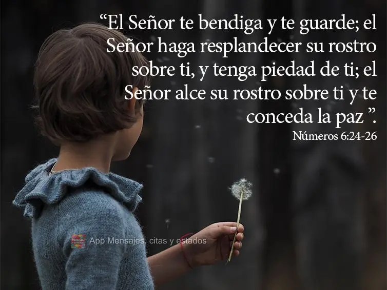 “El Señor te bendiga y te guarde; el Señor haga resplandecer su rostro sobre ti, y tenga piedad de ti; el Señor alce su rostro sobre ti y te conceda...