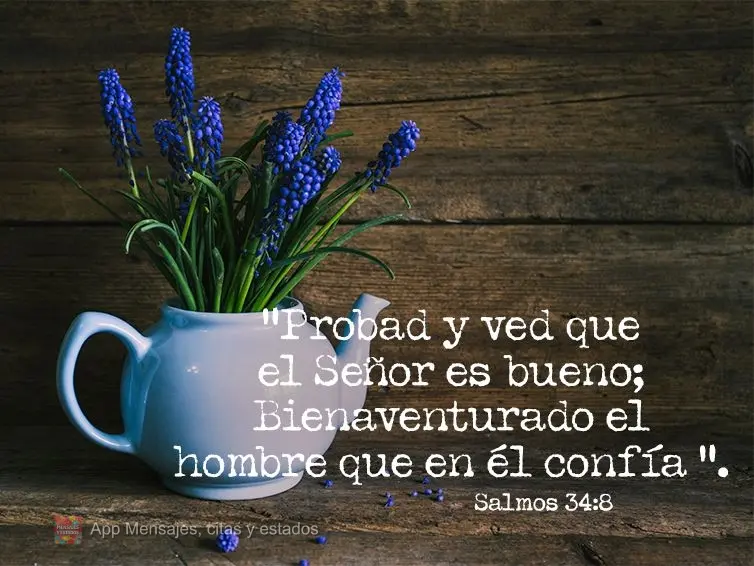 * “Probad y ved que el Señor es bueno; Bienaventurado el hombre que en él confía ”. Salmos 34:8