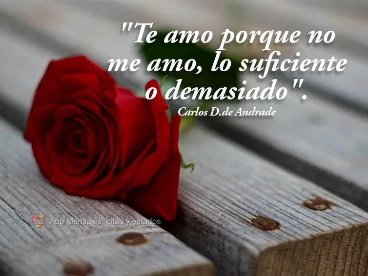 “Eu te amo porque não amo bastante ou de mais a mim.” Carlos Drummond de Andrade