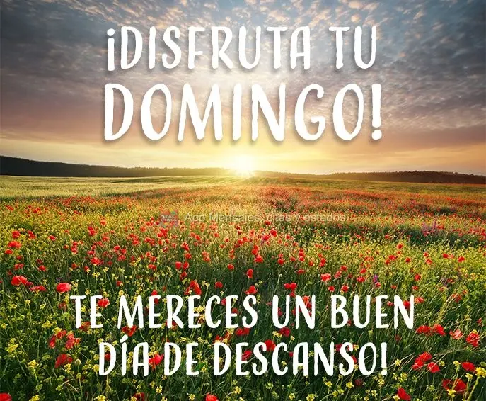 Aproveite o seu Domingo! Você merece um belo dia de descanso!