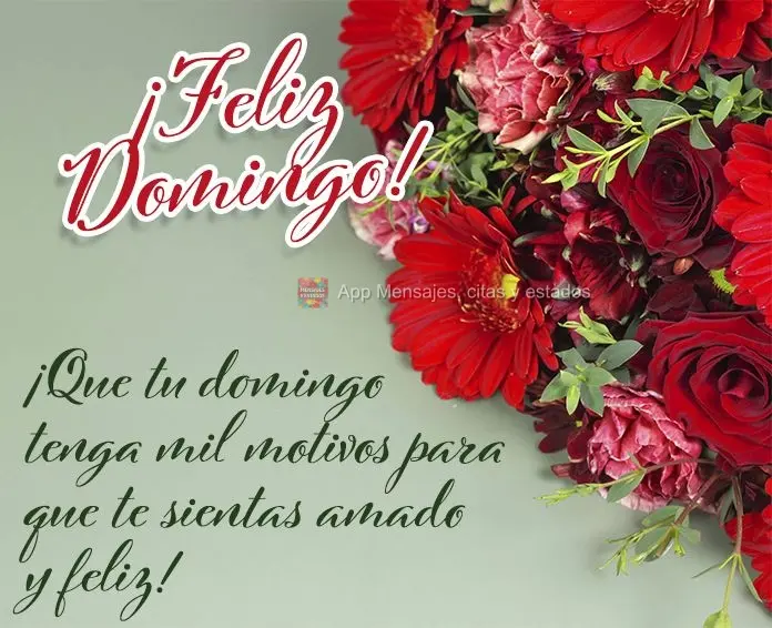 ¡Que tu domingo tenga mil motivos para que te sientas amado y feliz! ¡Feliz Domingo!