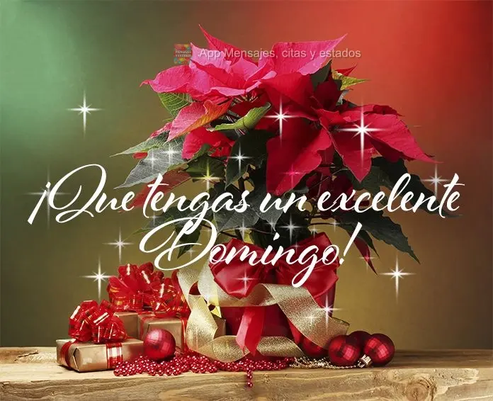 ¡Que tengas un excelente domingo!