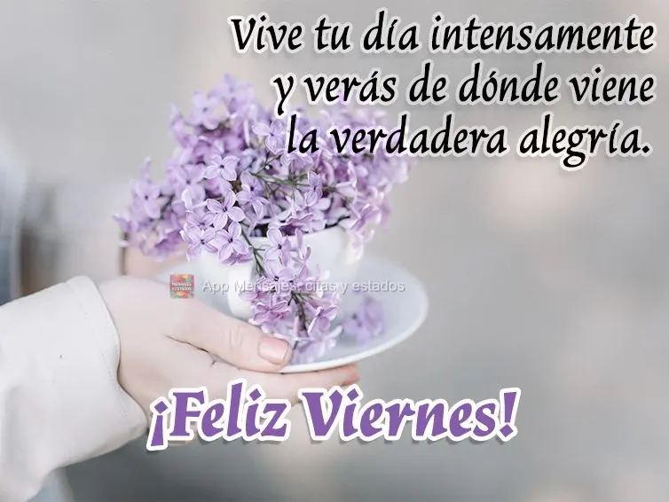 Viva intensamente o seu dia, e verás de onde vem a verdadeira alegria. Feliz Sexta-feira! 