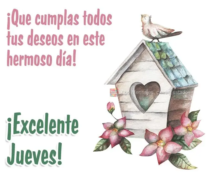 ¡Que cumplas todos tus deseos en este hermoso día! ¡Excelente jueves!