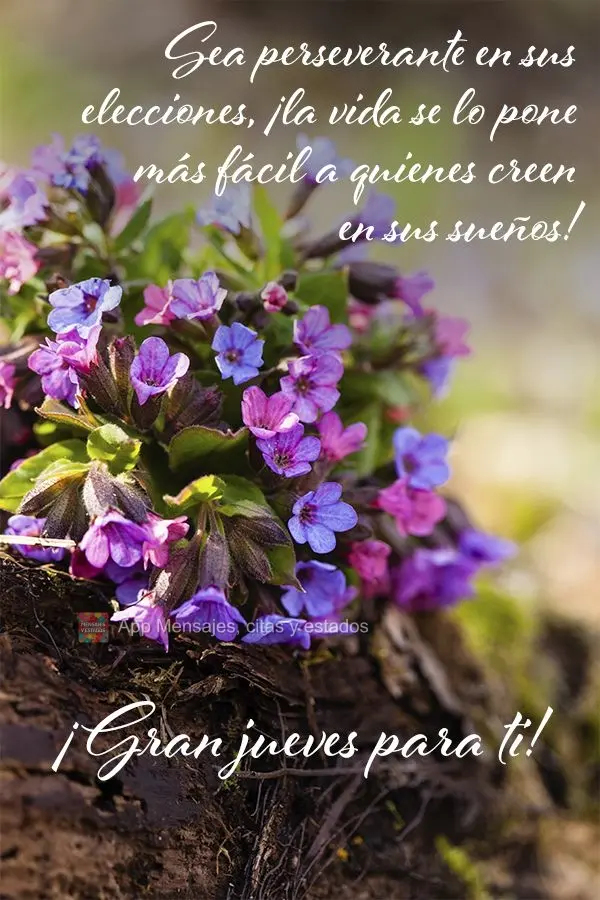 Seja perseverante nas tuas escolhas. A vida facilita para quem em seu sonhos acredita! Ótima Quinta-feira para você!