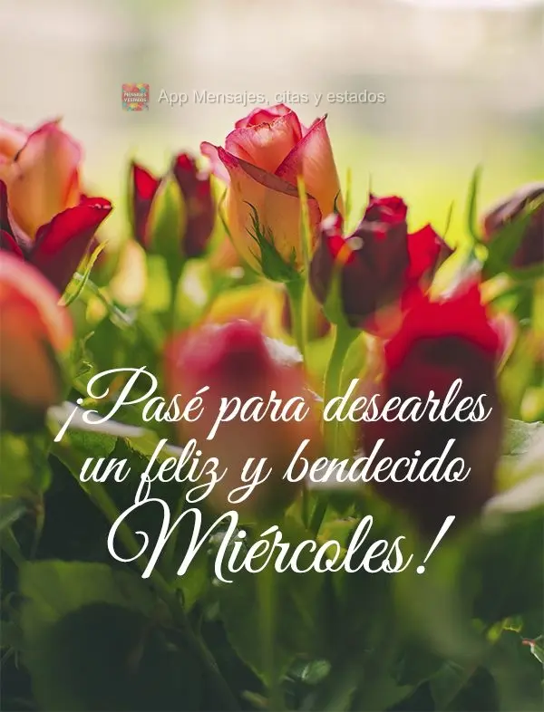 ¡Pasé para desearles un feliz y bendecido miércoles!