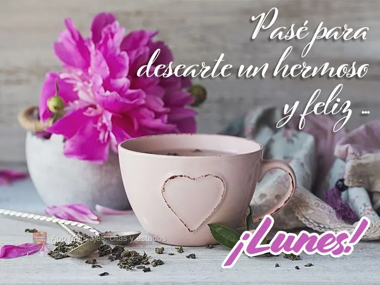 Passei aqui para te desejar uma linda e feliz... Segunda-feira!