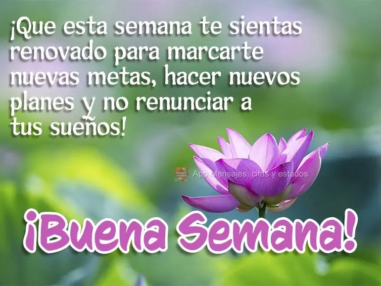 ¡Que esta semana te sientas renovado para marcarte nuevas metas, hacer nuevos planes y no renunciar a tus sueños! ¡Buena semana!