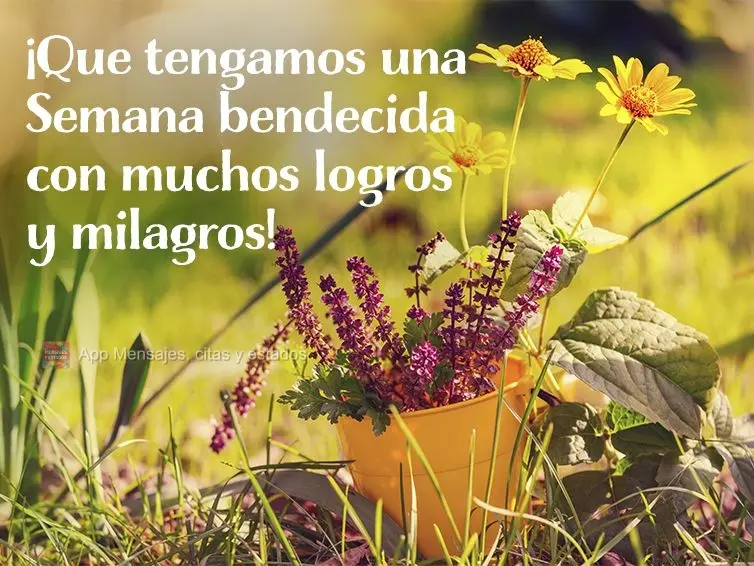 ¡Que tengamos una Semana bendecida con muchos logros y milagros!