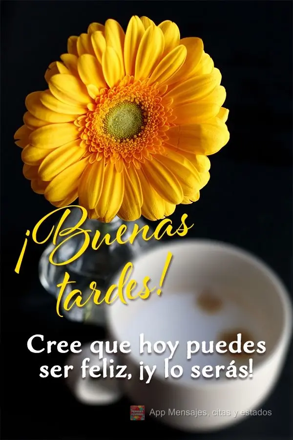 Acredite que hoje você pode ser feliz, e você será! Boa tarde!