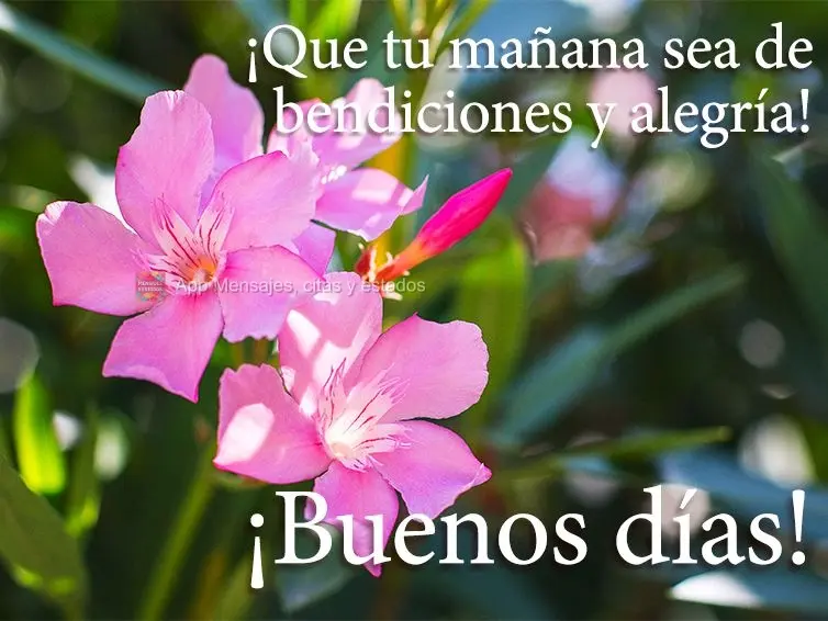 Que sua manhã seja de bênçãos e alegria! Bom dia!