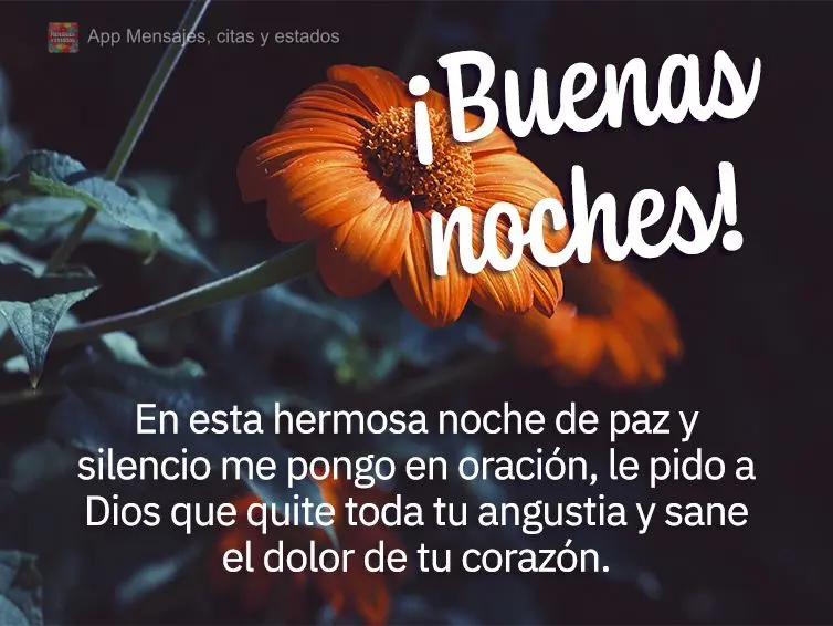 En esta hermosa noche de paz y silencio me pongo en oración, le pido a Dios que quite toda tu angustia y sane el dolor de tu corazón. ¡Buenas noches!...