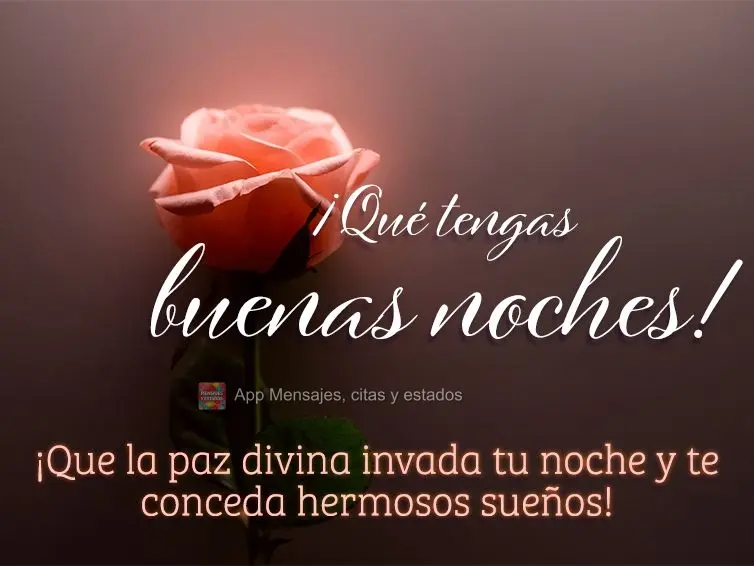 Que a paz divina invada a sua noite e lhe conceda lindos sonhos! Tenha uma Boa noite!