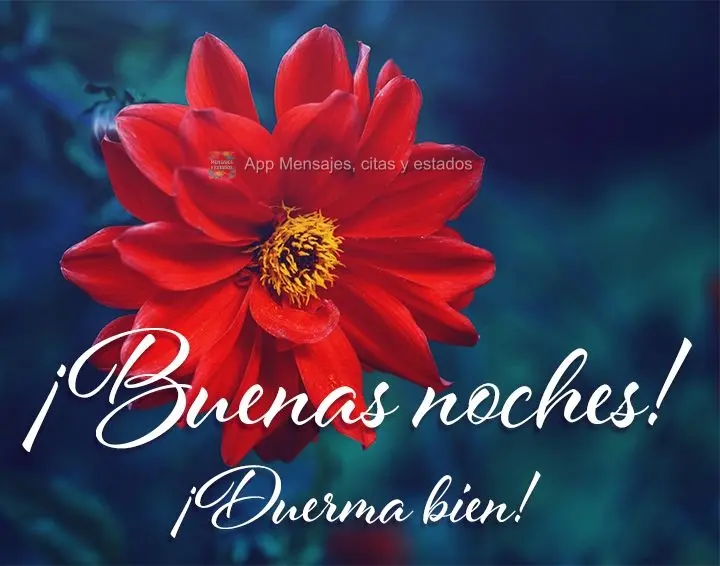 Boa noite! Durma bem!